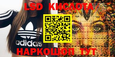 гидра Краснодар