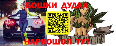 крисы Кулебаки