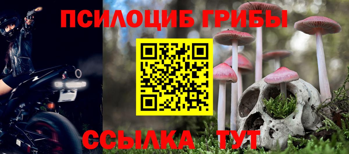 Ивантеевка  купить  цена  Вход с VPN  Галлюциногенные грибы прущие грибы 
